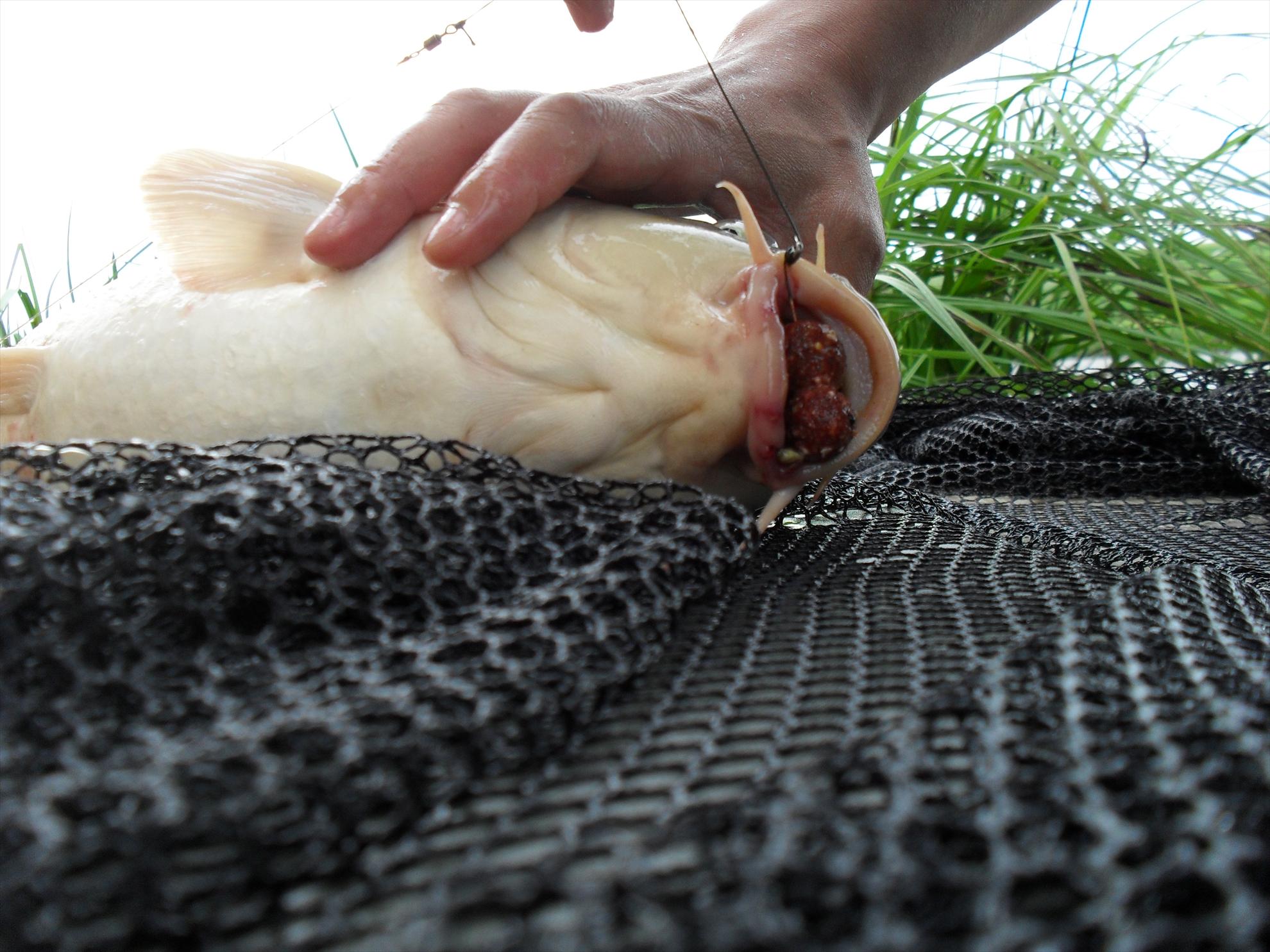 Magura 9 - sdc11315.JPG